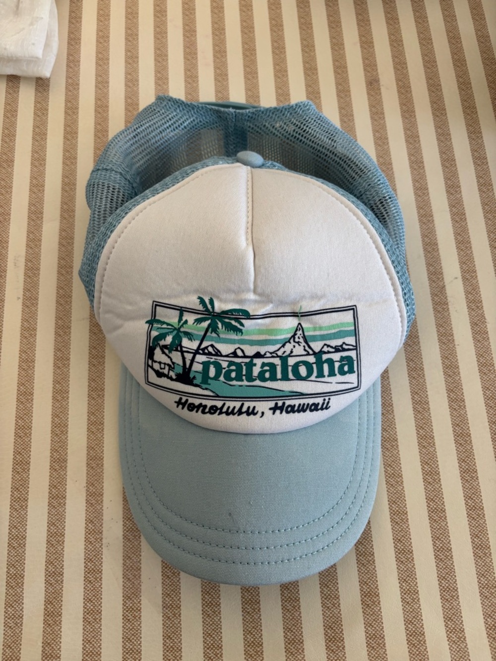 Patagonia Pataloha Honolulu Hawaii Embroidered Trucker Hat - White & Light Blue